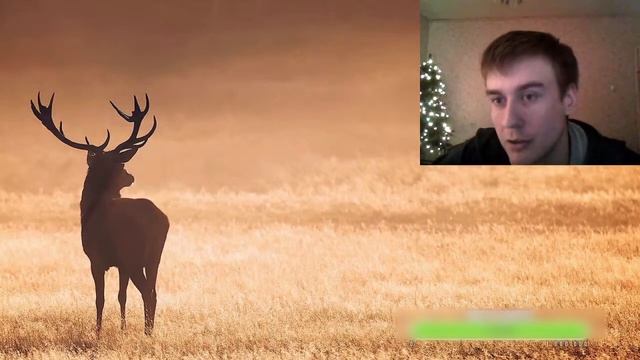 Как вернуть бывшую девушкуПсихология отношений между мужчиной и женщинойЗапись стрима