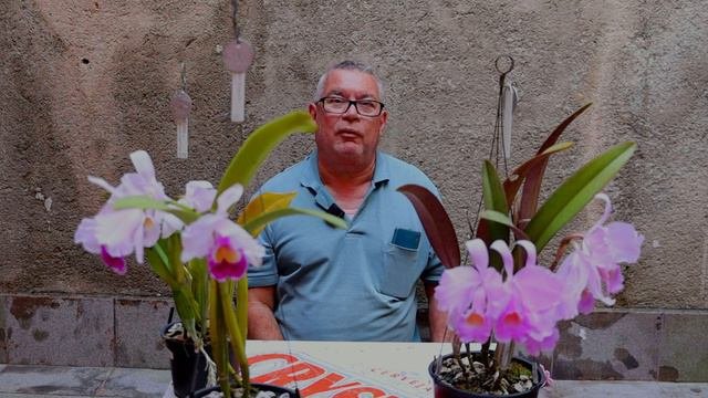 DESCOBERTA Da Orquídea HADROLAELIA ALAORI, Como Tudo Começou