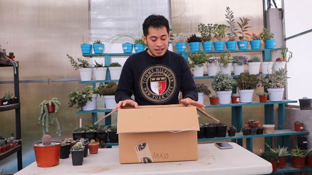 LO HICE OTRA VEZ ESTO ES ADICCION || TU JARDINERO EL CITADINO