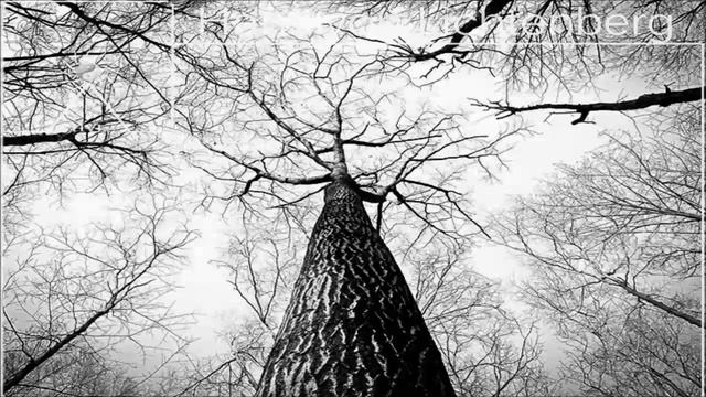MIRACLE RECOVERY  - Mysterious  Ambient Tunes (Joy To Read, Study, Meditate, Focus, Learn, Sleep,..