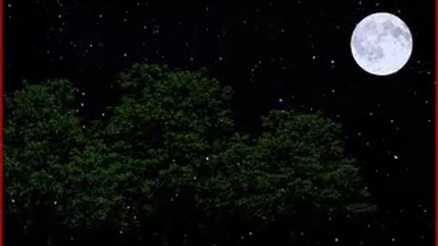 Релакс. Музыка для расслабления. Музыка для сна. Музыка для медитации. Антистресс