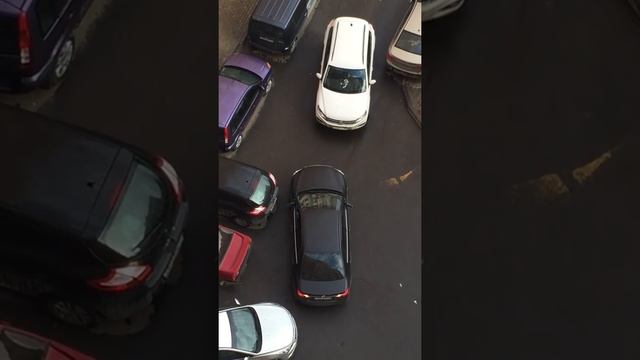 Зарули дура!!! Полная версия!!!.mp4