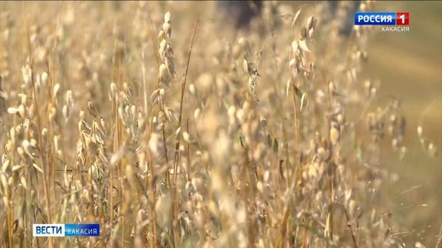 Уборочная кампания в республике близится к завершению