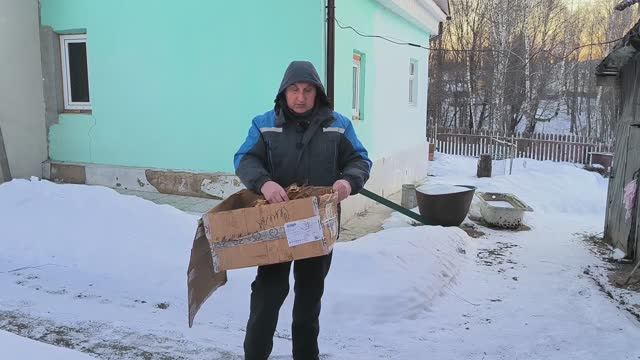 Зачем морозим табак. Морозное начало года. Первые дела 2024. Наша жизнь в деревне