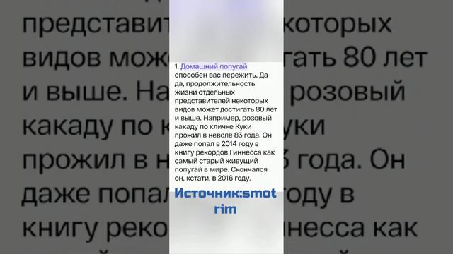Волнистый попугай по имени Кеша.
