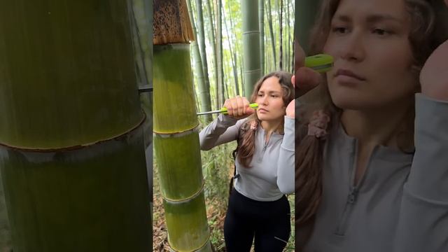Девушка добывает сок с бамбука