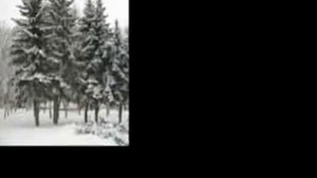 Картинки Отрадного Парка Киева
