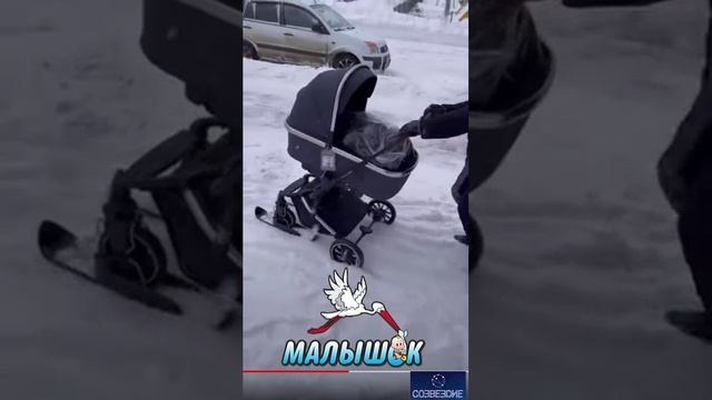 Лыжи_для_коляски