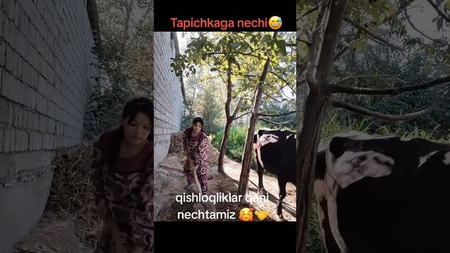 @saitqulova_mahliyo=7e581e.mp4