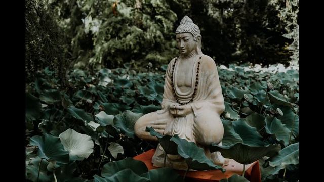 Buddha Zen Music || Relaxing Meditation Chant ||  Awake to your Inner Body