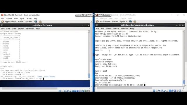 DB Backup Crontab