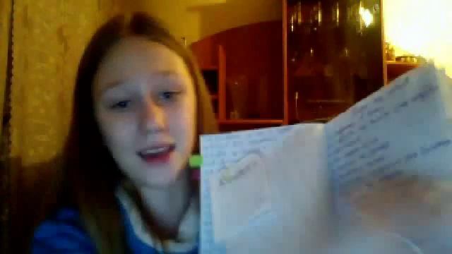 Видео с веб-камеры. Дата: 28 декабря 2013 г., 0:48.