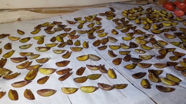 Cушим овощи в парной