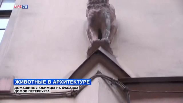 Животные в архитектуре Петербурга