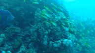 Soma Bay, Dezember 2013