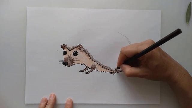 Симпотяга ЁЖИК из ивовых листьев