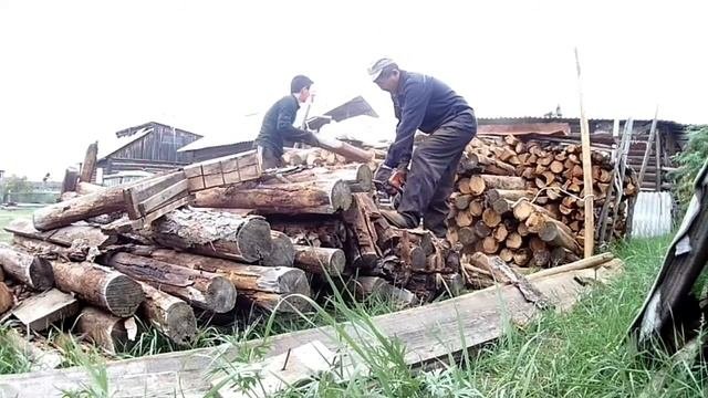 Освобождаем место или заготовка дров на зиму!