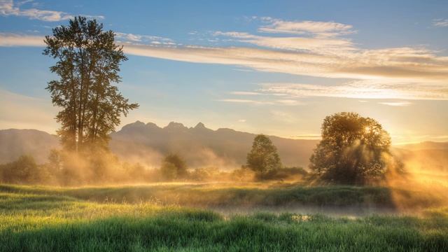 !! Peaceful Relax Music !! - 01 - Meditation, Ambient, Sleep Music, Study Music, Buddha, Soothing