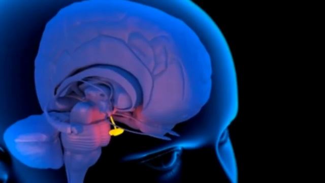 Brain Hemisphere Synchronization - Activate the Entire Brain - Binaural Beats - Meditation Music