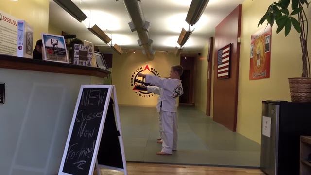 Brooklyn Brazilian Jiu-Jitsu. Jan 26, 2015