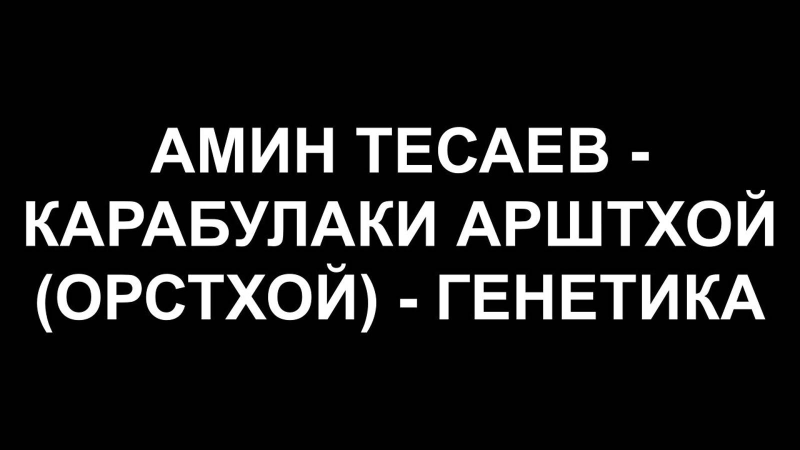 АМИН ТЕСАЕВ - КАРАБУЛАКИ АРШТХОЙ (ОРСТХОЙ) - ГЕНЕТИКА