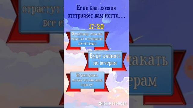 Что?Я бенгальский кот? Тест какой ты котик