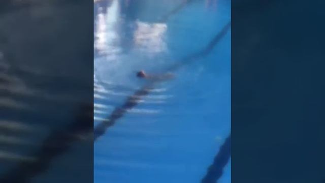 Синхронное плавание кубок ростове-на-дону