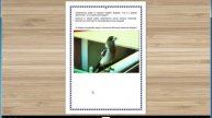 Детям о птицах. Интерактивная цифровыая книга для детей.