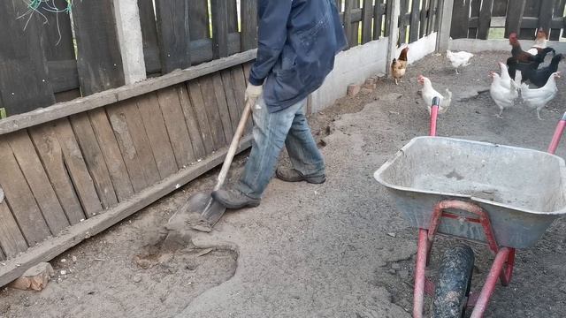 Обратная сторона собственных кур. Говно тачками!