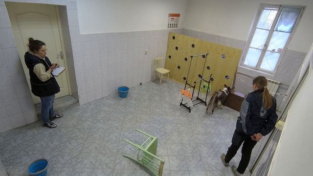 РАНВ, Балашиха, 1 класс, апрель 2023, помещение