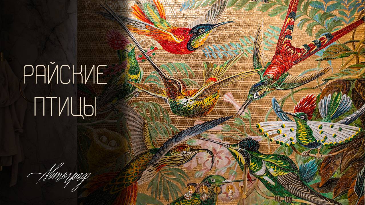 Райские птицы