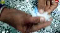 METHOD OF IDENTIFICATION OF MALE AND FEMALE IN BUDGIES || बजरी तोतों में नर मादा की पहचान का तरीका।
