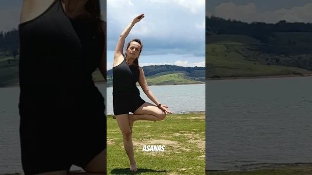 Asanas  posturas  eso es Yoga? Es un viaje y asanas es una de los 8 ramas de yoga. namaste