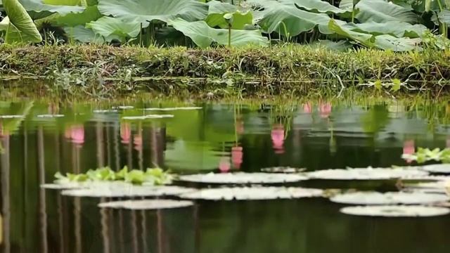 Презентация ко дню матери "Любовь мамы всегда со мной".