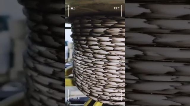 1000056639.mp4