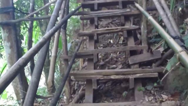 Водопады плато Болаван в Лаосе