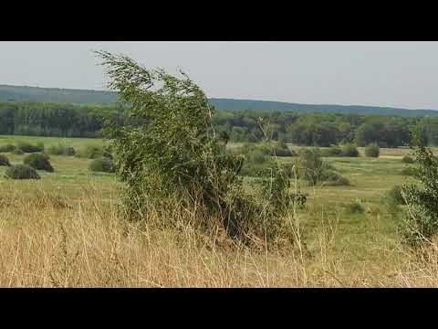 Огромный разлом, начало аномальной зоны. Здесь фиксируют странные явления.