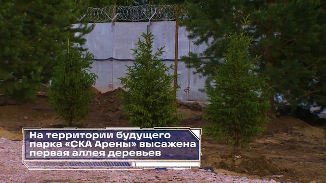 СКА Арена: итоги 2022 года