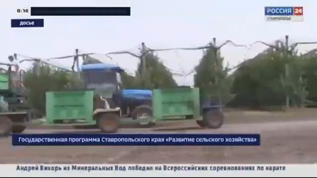 Итоги уходящего года и перспективы на будущий год развития  садоводства в Ставропольском крае