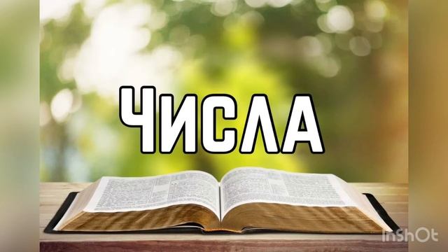 Библия, Числа 12 глава