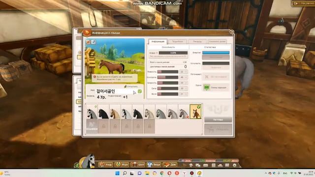 Breeding Fleabitten Grey  Breedng Alicia online  Разведение Алисия Онлайн