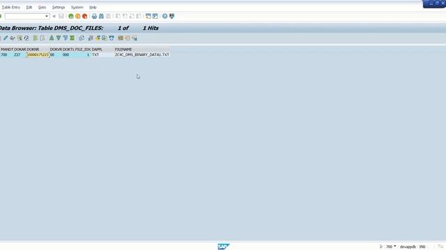 SAP Odata service to read DMS document file part1 of 4