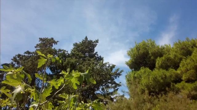 Hvar‘s OLD TOWER and PEACOCKS in Split, Eurotrip on my Honda Dominator, Episode 9 - MARC TRAVELS