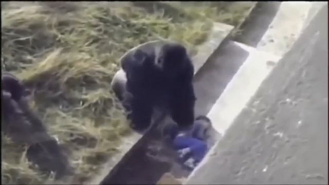 ни когда не оставляйте ребенка одного.  when did not leave your baby alone
