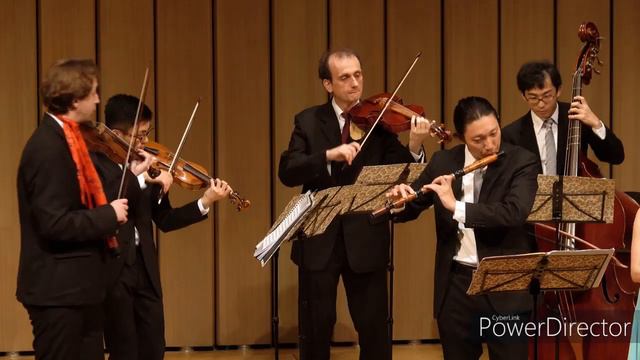 G. P. Telemann: Concerto for Recorder and Flute in E minor, TWV 52:e1