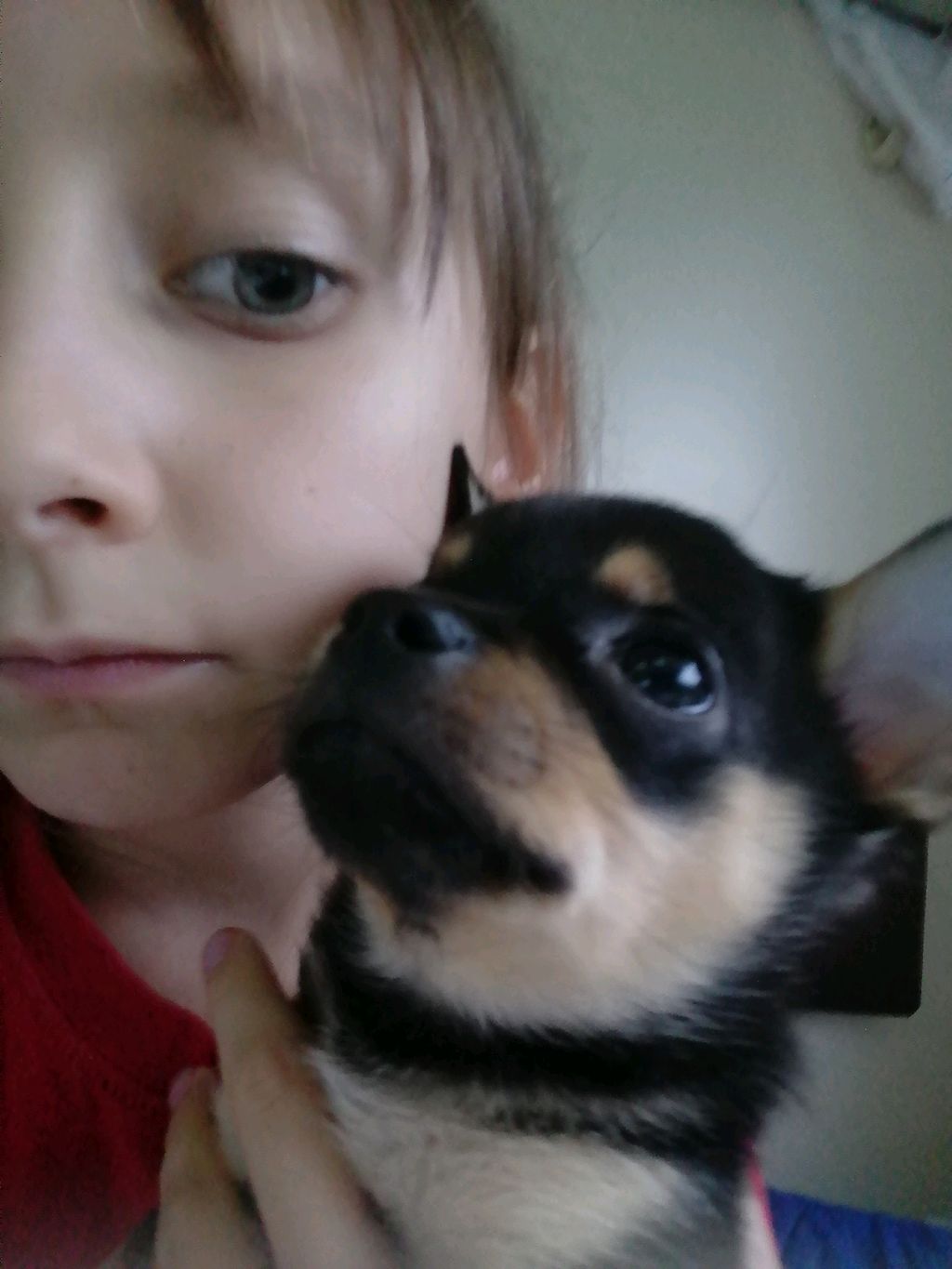 Зайди посмотреть