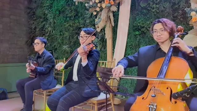 Can't Help Falling In Love - Elvis Presley | Violin, Guitar, Cello live cover