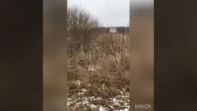 Продам участок 8 соток  в деревне Сенино