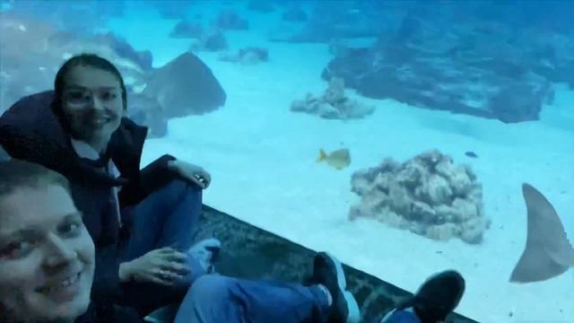Atlanta. Серия номер 2. Georgia Aquarium.