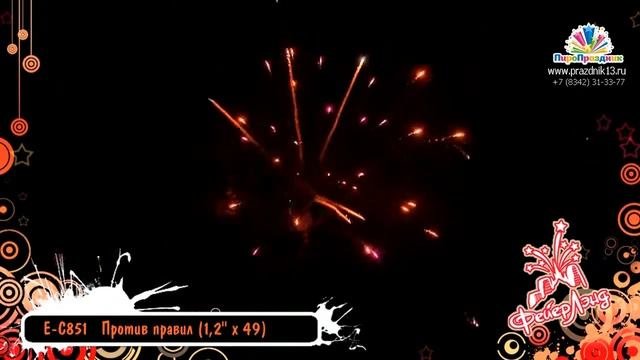 Е-С851 ПРОТИВ ПРАВИЛ